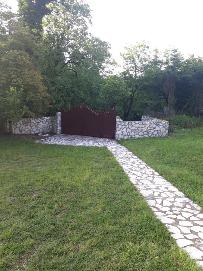 House At The Forest / Სახლი Ტყის Პირას Gordi 外观 照片